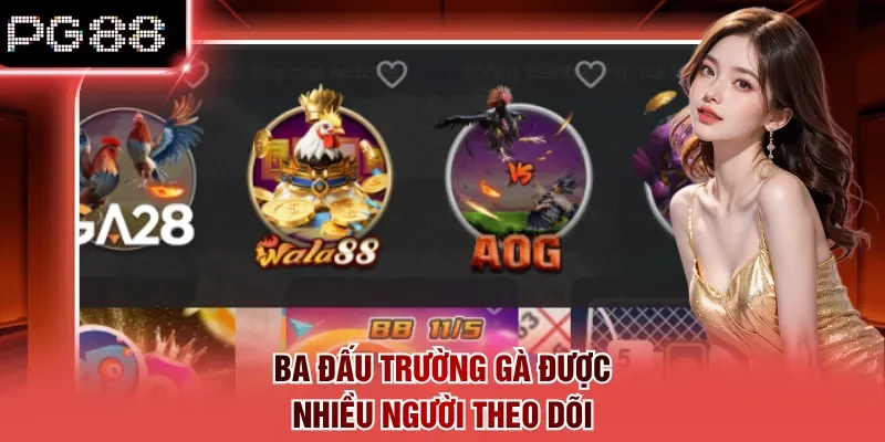 Ba đấu trường gà được nhiều người theo dõi