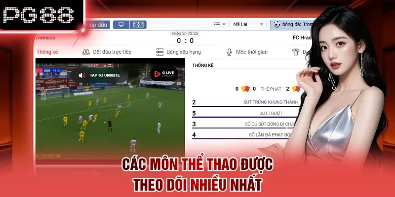 Các môn thể thao được theo dõi nhiều nhất
