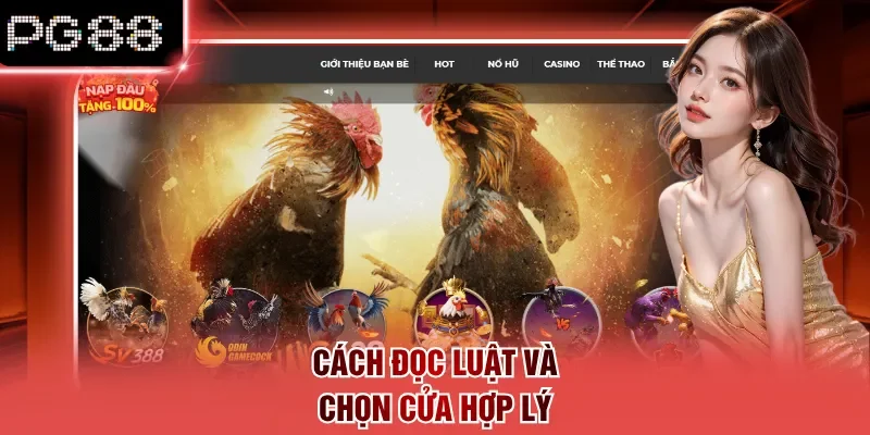 Cách đọc luật và chọn cửa hợp lý