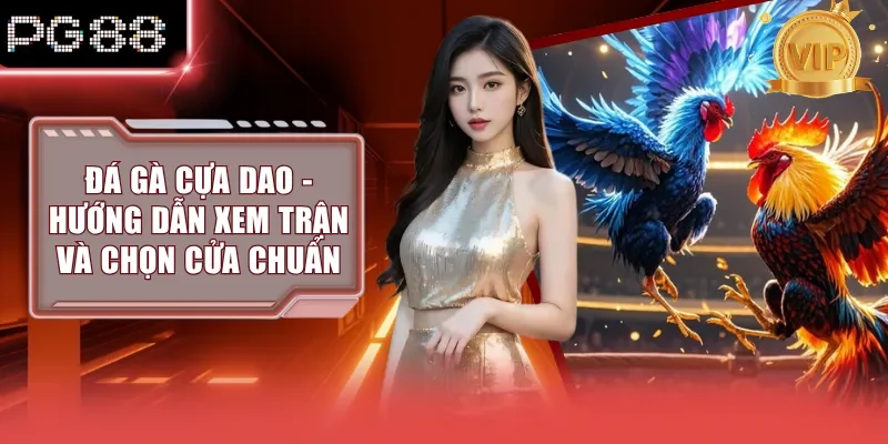 Đá Gà Cựa Dao - Hướng Dẫn Xem Trận Và Chọn Cửa Chuẩn