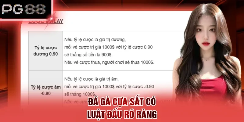 Đá gà cựa sắt có luật đấu rõ ràng