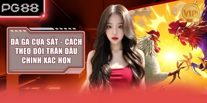 Đá Gà Cựa Sắt - Cách Theo Dõi Trận Đấu Chính Xác Hơn