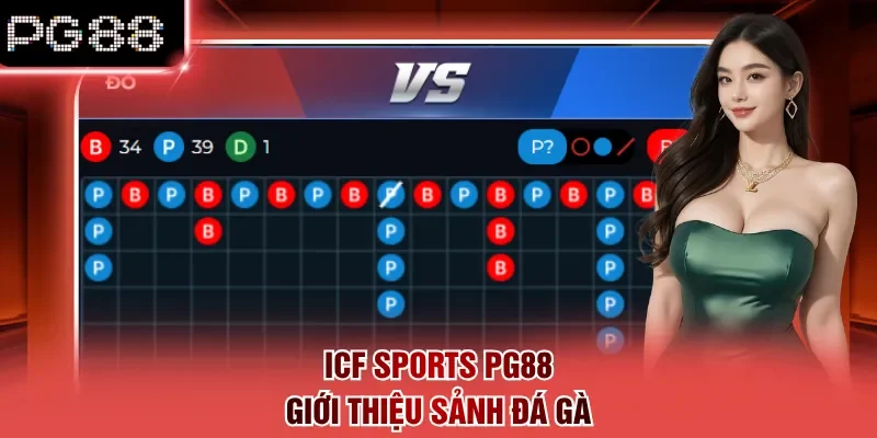 ICF Sports PG88 giới thiệu sảnh đá gà
