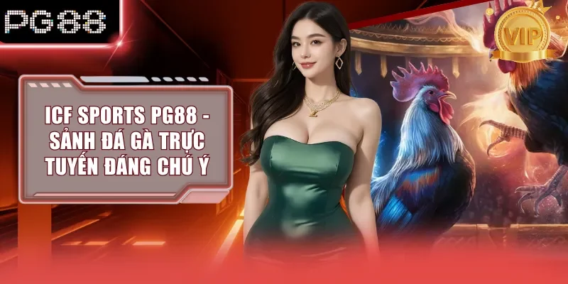 ICF Sports PG88 - Sảnh Đá Gà Trực Tuyến Đáng Chú Ý