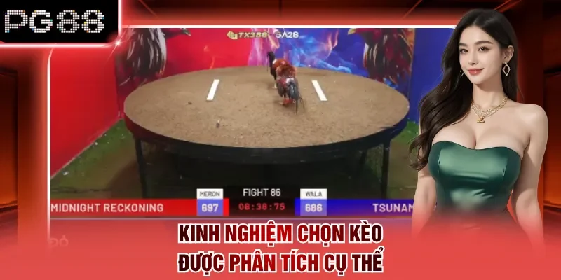 Kinh nghiệm chọn kèo được phân tích cụ thể