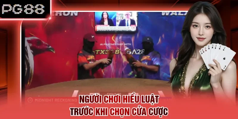 Người chơi hiểu luật trước khi chọn cửa cược