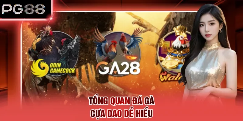 Tổng quan đá gà cựa dao dễ hiểu